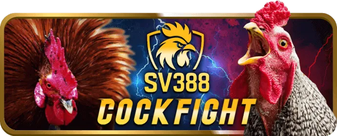 Giống như BJ88, E2Bet, nhà cái ALO789 đã hợp tác cùng SV388 để phát sóng trực tiếp các trận đấu gà CPC chất lượng cao Full HD với các thể loại đá gà cựa sắt, cựa dao, gà đòn, gà thái, gà tre.